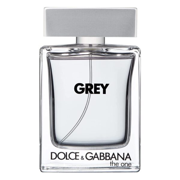 the-one-grey-dolce-gabbana-2